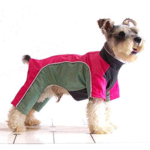 leisure back zipper fourlegged dog