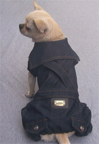 Cute Denim Skirt Dog Hoodie