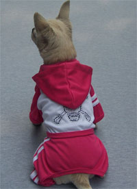 Pet apparel sportswear