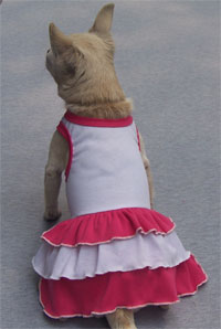 KITTY dress dog clothes