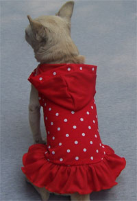 Dotted Fashion Dog Hooded Dress