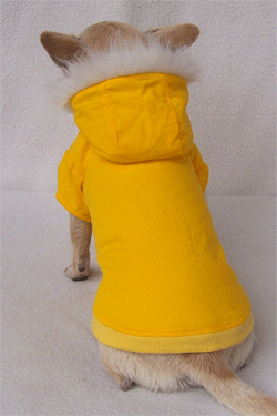 double layers  Dog Coat