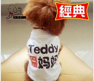 10002 single cashmere dog T shirt