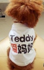 Cute dog T shirt