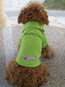 Dog t-shirt is absolutely handsome