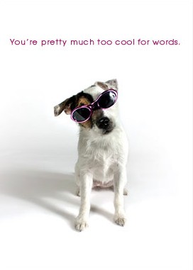 Chihuahua Congratulations Card