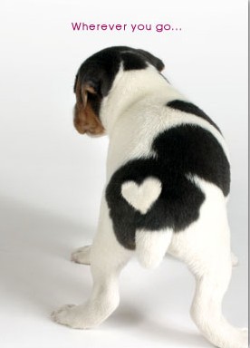 Jack Russell Love Card