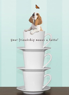 Pet Condolences Card I