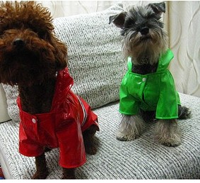 Thing clothes pet raincoat fall winter clothing Japan dogger wind and snow cotton-padded jacket