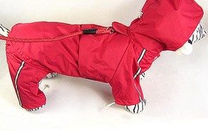 Outside single pet clothes pet raincoat history Ditchy funds B