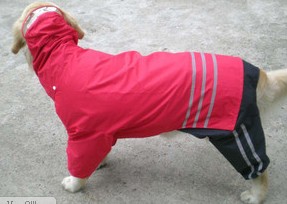 Outside single pet clothes pet raincoat history Ditchy funds B