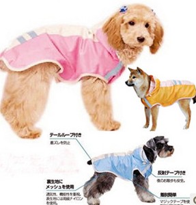 Japanese ASUKU loves Si Kezui the good pet raincoat