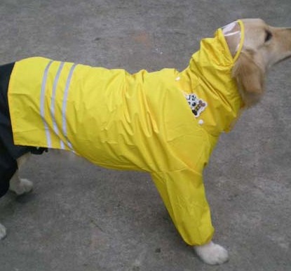 Dog dog raincoat dog clothes tarpaulin