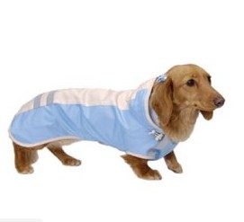 ISPET pet raincoat cat cat dog dog raincoat airedale raincoat great expensive raincoat bleached hair