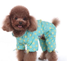 Dustproof clothing four foot clothes dog dog raincoat dog clothes