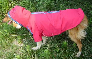 Super cute, dog raincoat