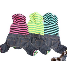 Friend gram jeans pet clothes dog dog clothes