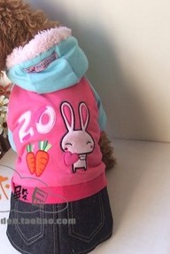 Pet clothing clothes