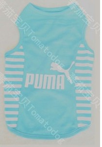 juicy piece sportswear style super soft to Mickey (blue)