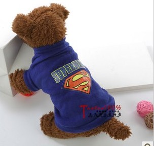 Sportswear Striped Bear Cartoon