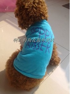 Dog clothes Pet costumes