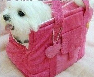 New American Pet Bag