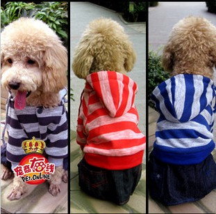 Teddy High quality dog â€‹â€‹sweaters