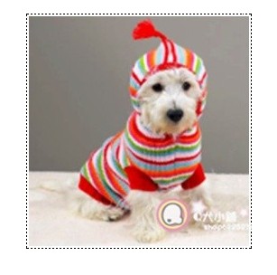 Blue autumn and winter fashion dog clothes / dog sweater