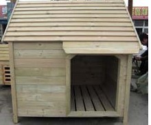 Dog house wood preservative