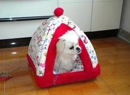 Pet House