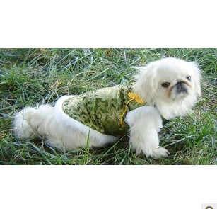 Mini pet clothing dog small tank