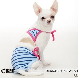 Dog swimwear