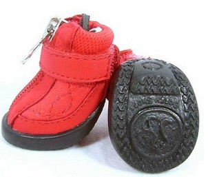 Cute dog shoes