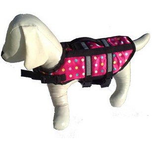 Dog swimwear more than one color L