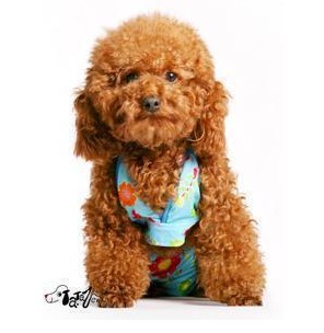 Dog swimwear S--- 7 colors