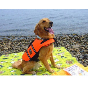 ISPET pet clothing pet swimwear