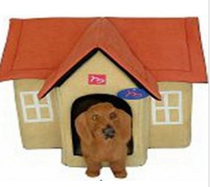 Best New Pet house