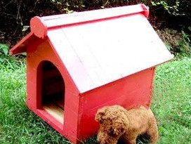 Storage-style log house pets