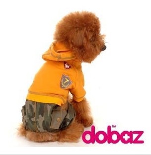 Pet padded jacket