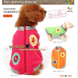 PS0039 DALE pet squirrel coat