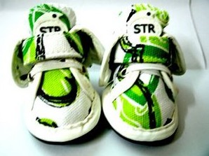 Sports wear breathable shoes new pet