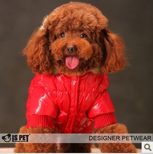 Ta.Ta.News pet clothing / Ambilight casual jacket