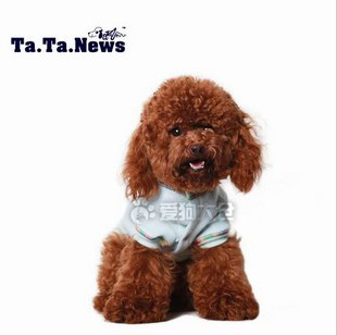 ISPET retro classic quilted pet dog coat SP-083