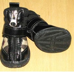 Pet shoes, casual shoes