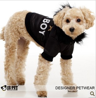 ISPET pet sweater coat QD-2126