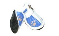 Tendon end slip shoes colorful pets