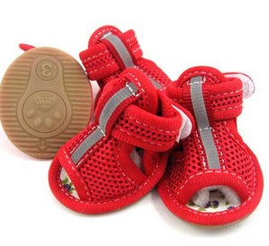 Pet canvas shoes