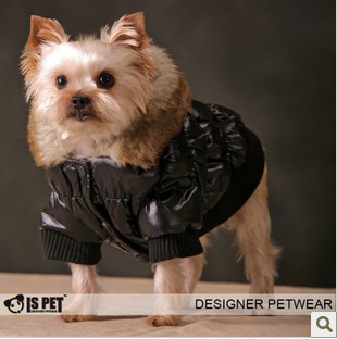 Pet Alien casual coats