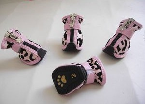 Foreign pet shoes