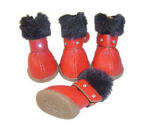 Foreign pet shoes